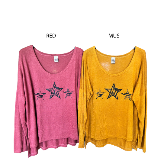 JERSEY KNIT 3 ZEBRA STAR PRINT TOP